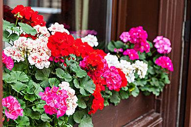 《星球大战：前线 经典合集》差评如潮后发布首个更新补丁